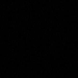 Meet your Posher, Billy